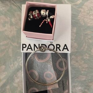 Pandora Silver Bracelet with 5 Charms